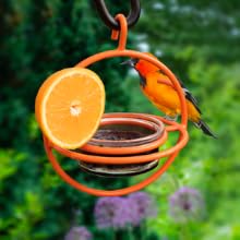 Metal Hanging Oriole Bird Feeder