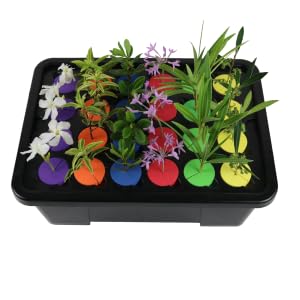 24 Site DWC Psycloner with clone strains organized by color