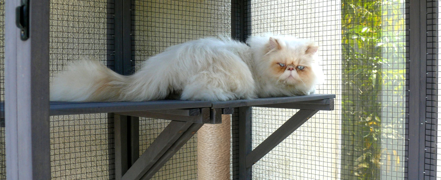 Cat cage