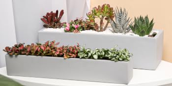 Corner planter