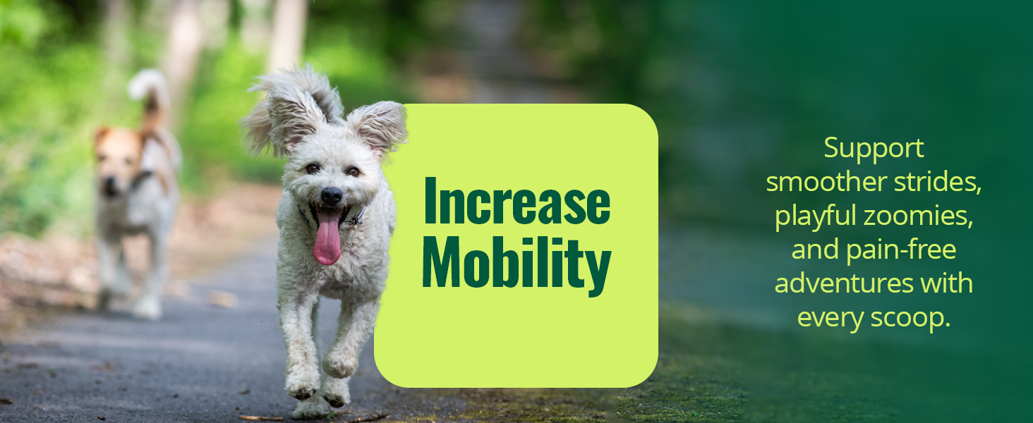 Increase Mobility. Support smoother strides, playful zoomies &amp;amp; pain-free adventures with every scoop
