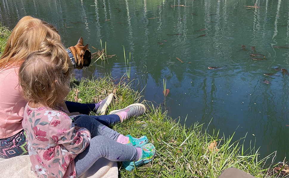 feeding pond fish