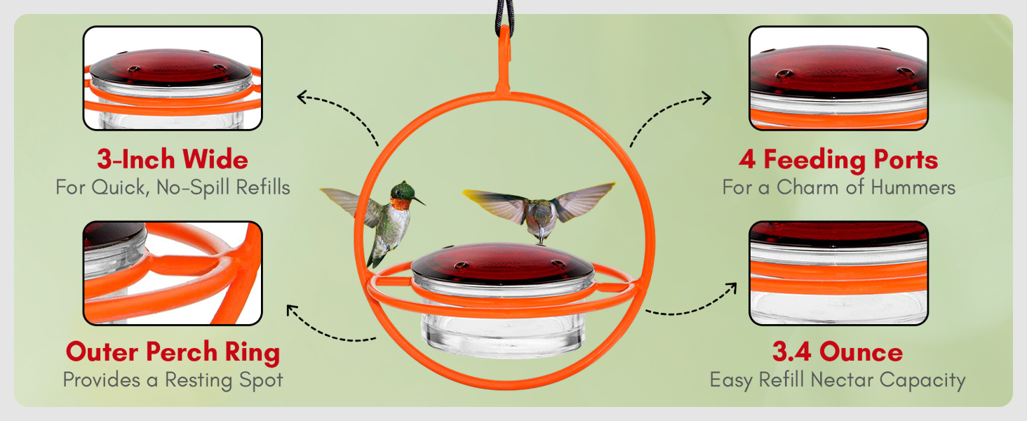 Bird feeder