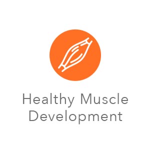 Natural cat food;Dry cat food;Cat food;High protein cat food;Grain free cat food;Adult cat food