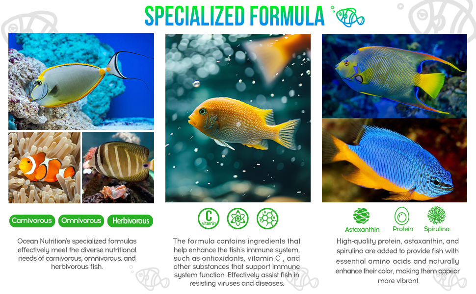 fish food