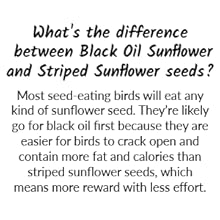 Difference between Black Oil and Striped Sunflower FAQ