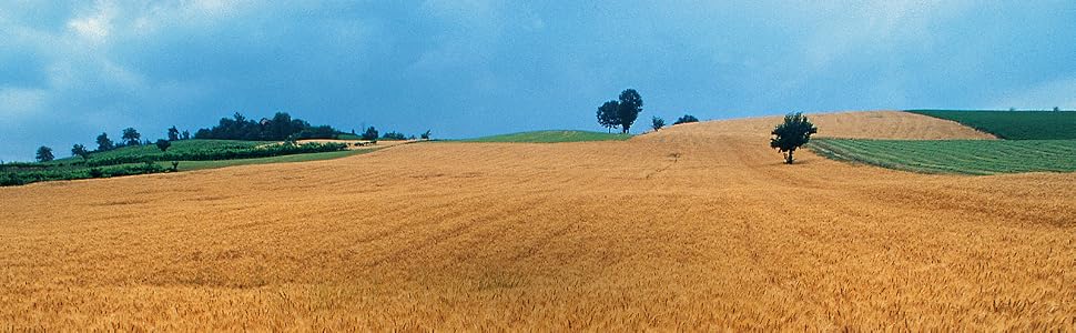 de cecco field