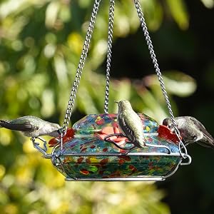 WWGHF1 with hummingbirds