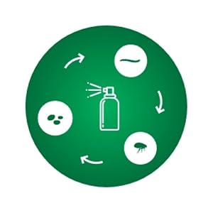 This flea spray for cats helps break the flea lifecycle.