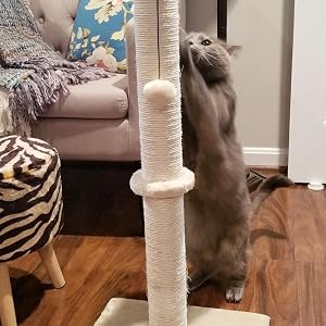 scratch