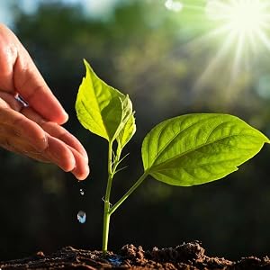 United Plant Savers