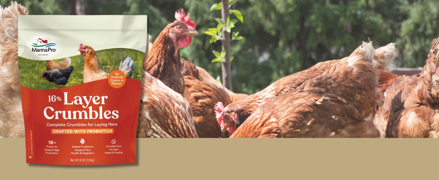 MANNA PRO LAYER CRUMBLES FOR LAYING POULTRY