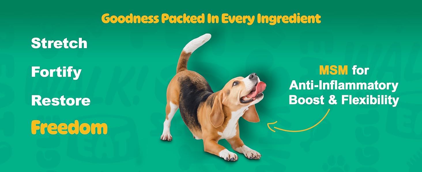 dog joint supplement, hip and joint support, glucosamine for dogs, dog chews, hip mobility