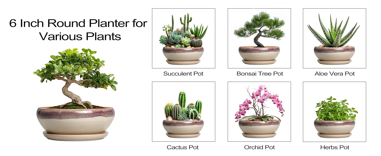 ceramic planter