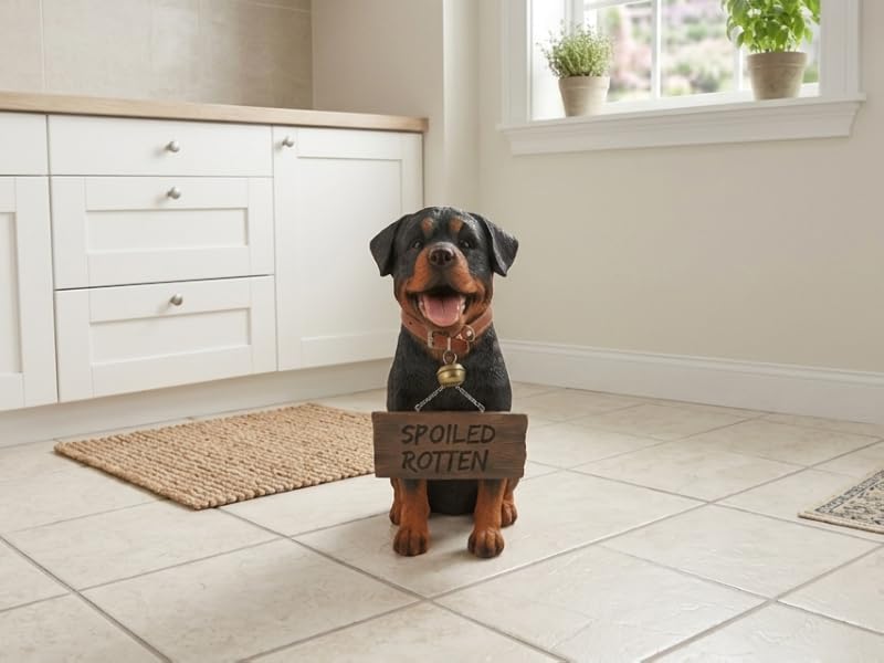Dog statue in kitchen