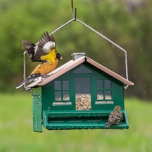 squirrel-be-gone home style bird feeder