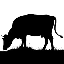 grass fed