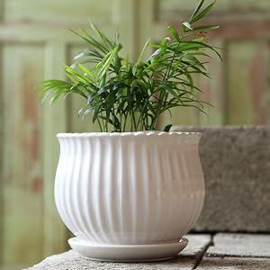 Flower Plant Pots with Saucer