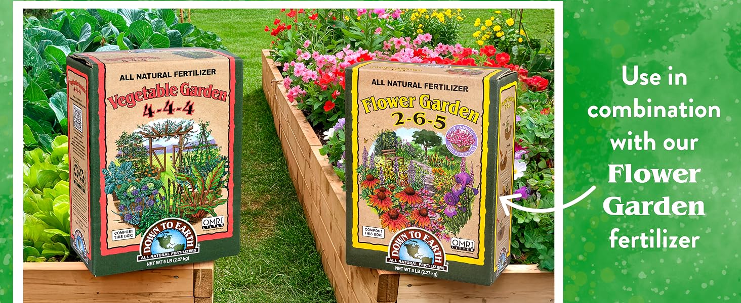 Veg Garden 4