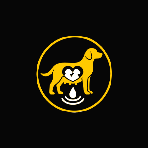Healthy dog powder para musculo, digestión y lactancia en perras