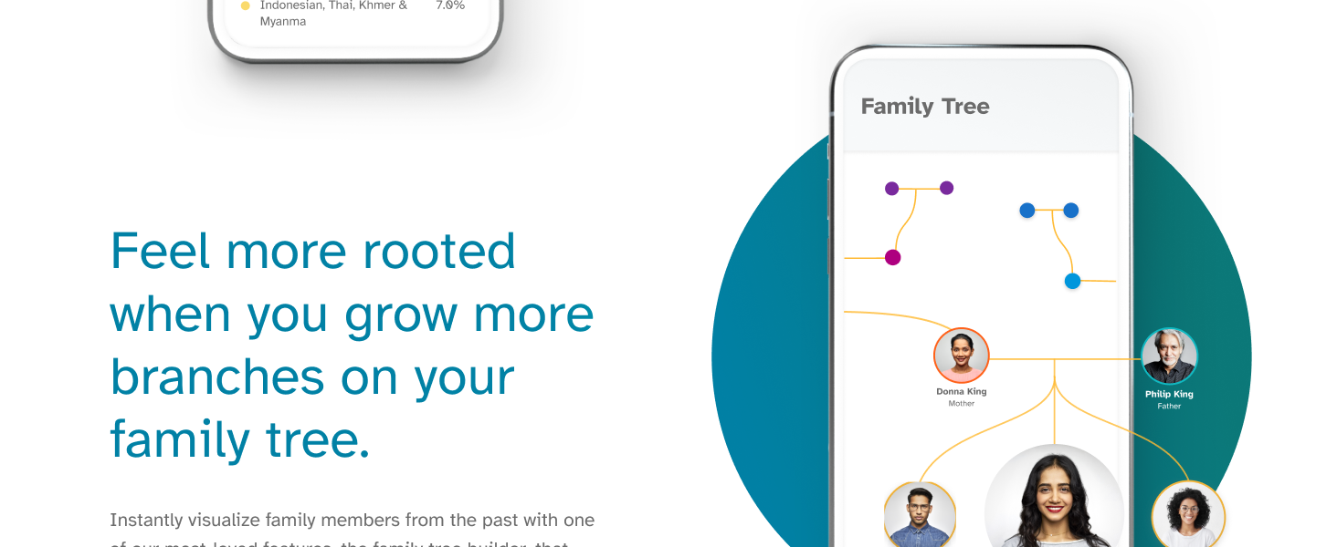 family tree visual