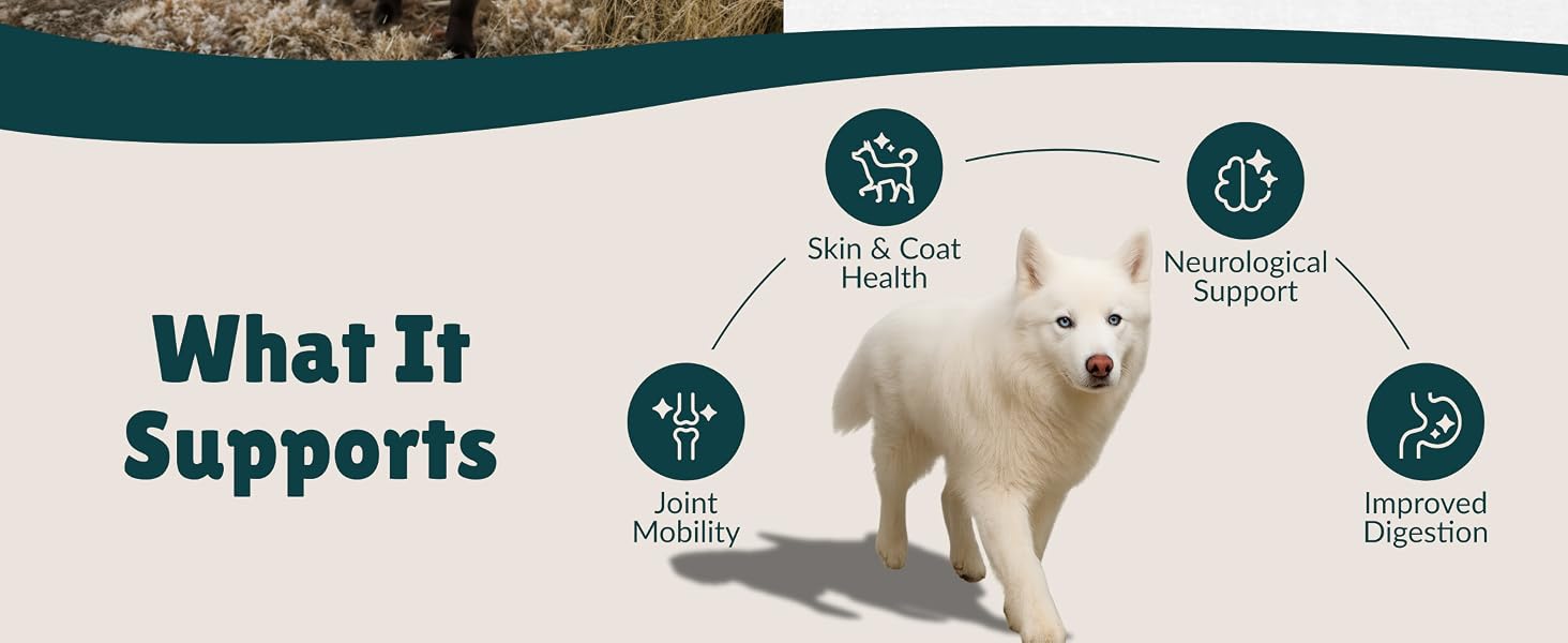 Supports Dogs with skin and coat issues