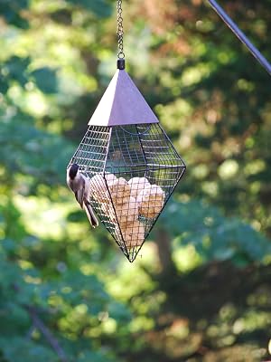 Diamond Suet Ball Geo Feeder
