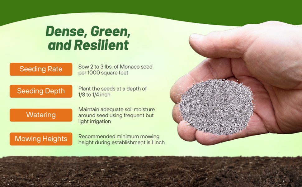Royal TXD Bermuda Grass Seed Seeding Rate &amp;amp; Planting Time