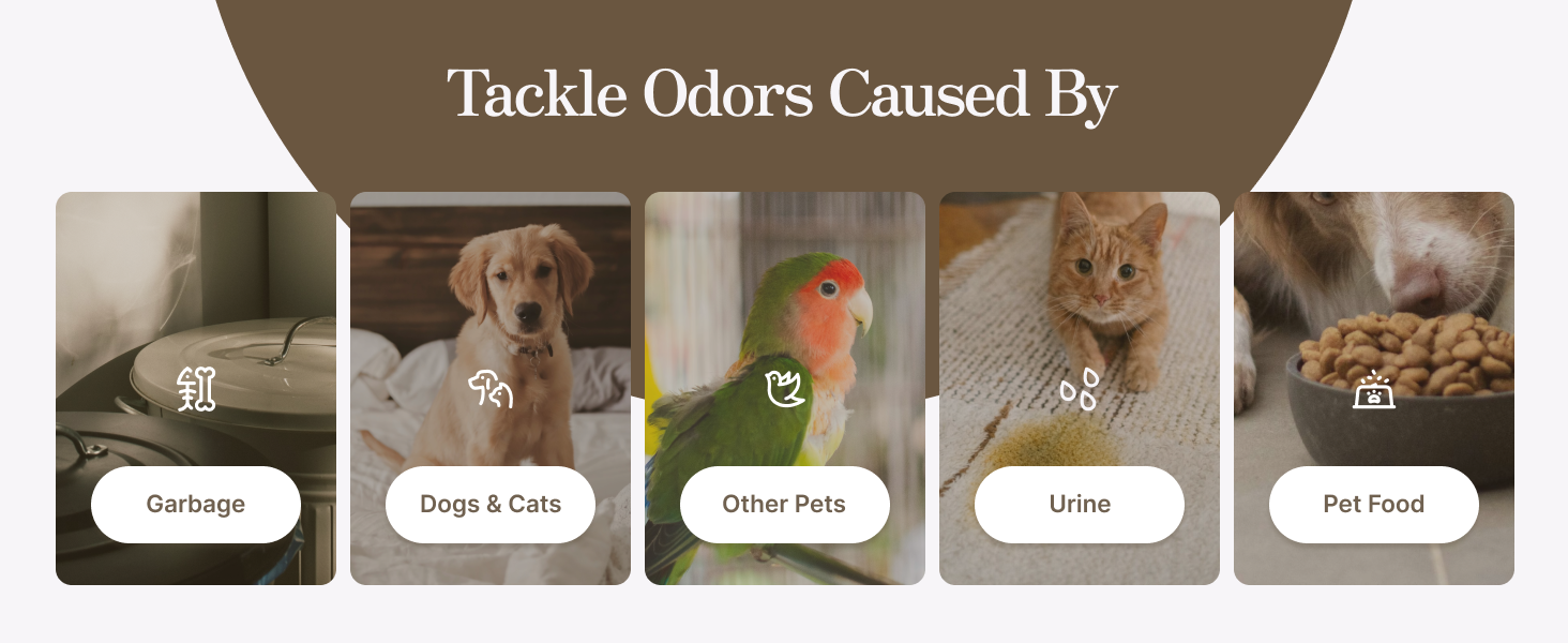 tackle odors caused by garbage, pets, dogs and cats, urine, pet food