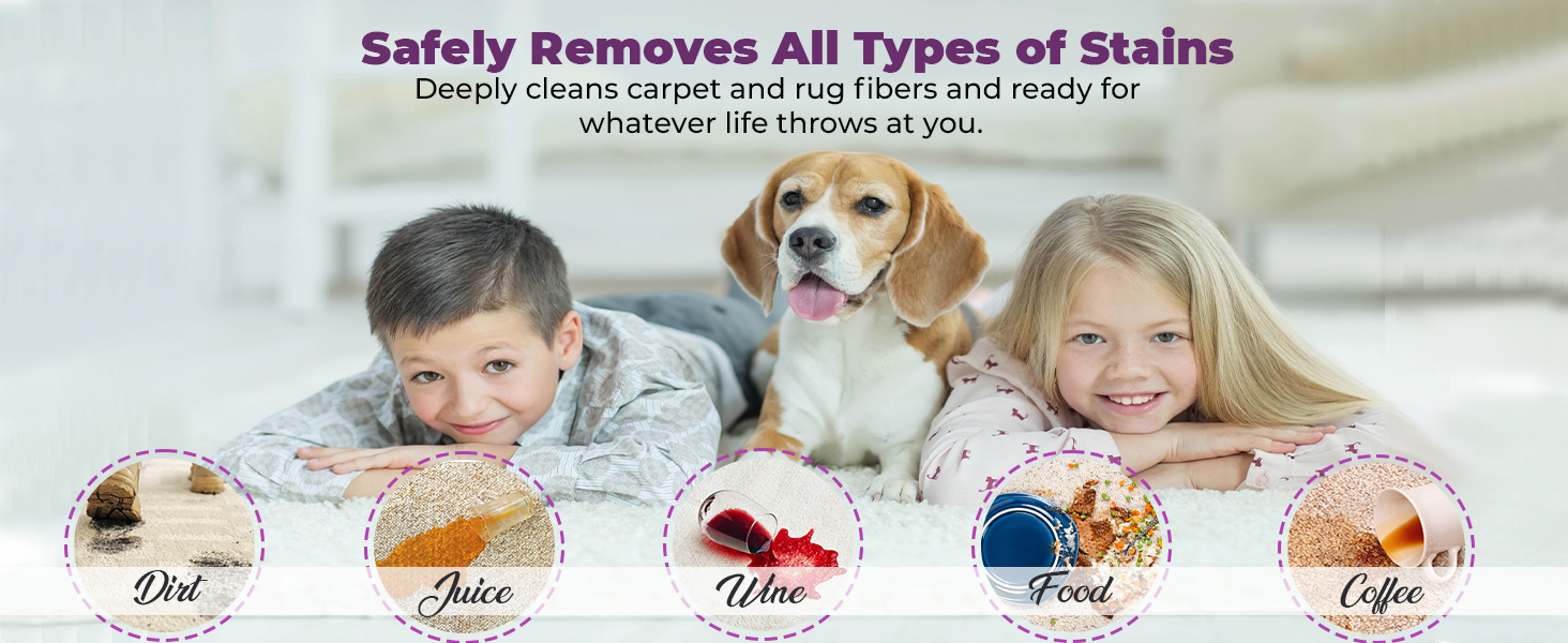 Capture Professional Steam Clean Detergent for All Machines Home, Car, Pet Carpet Cleaner Solution