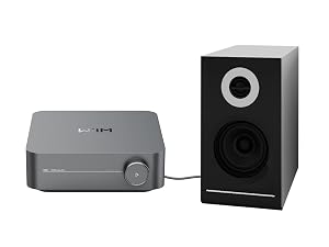 Audio setup with gray rectangular amplifier unit connected to black bookshelf speaker with silver ring accent