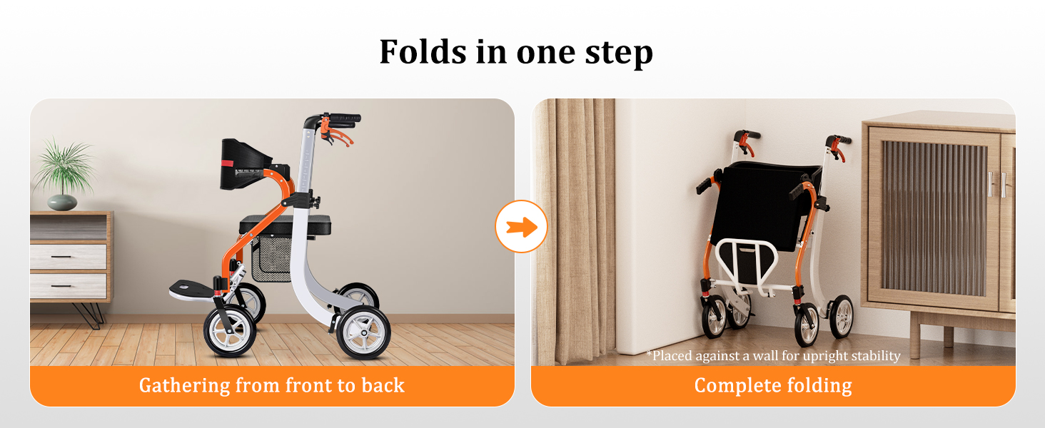walker wheelchair combo