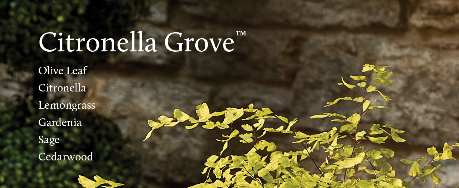 Citronella Grove