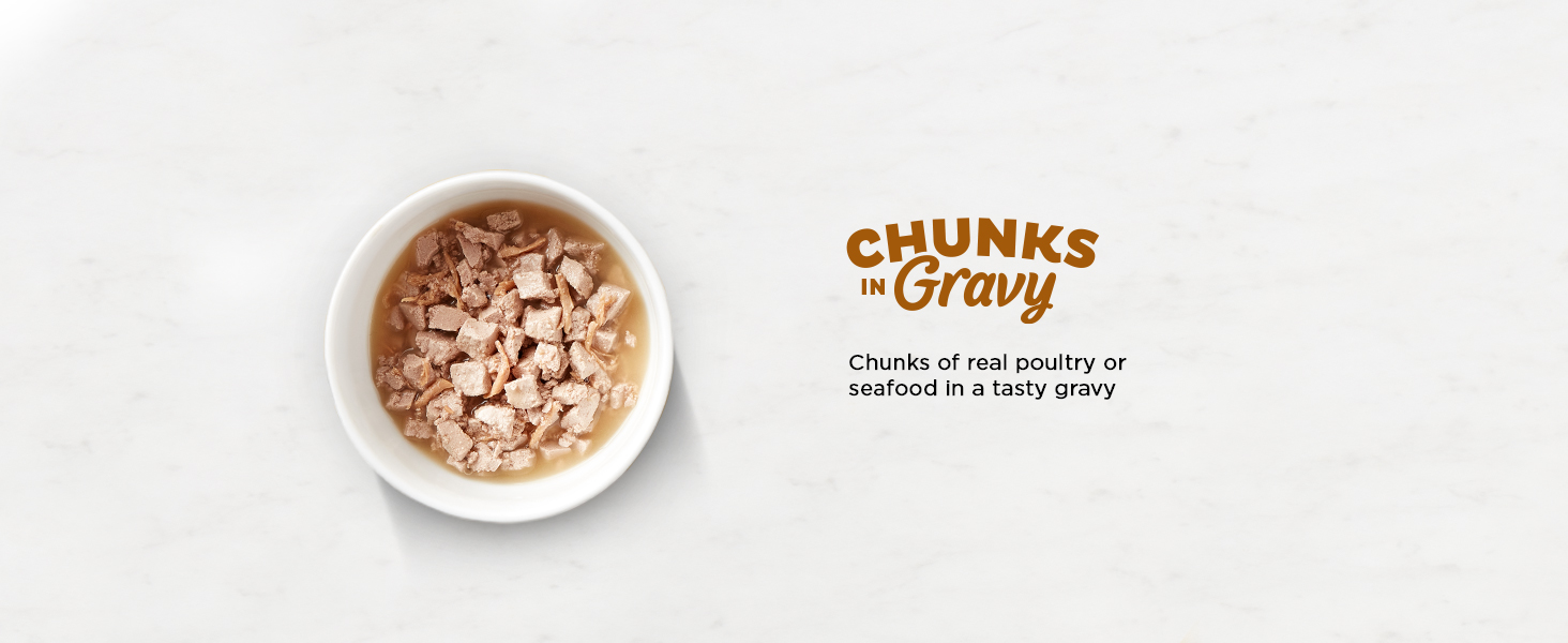 gravy