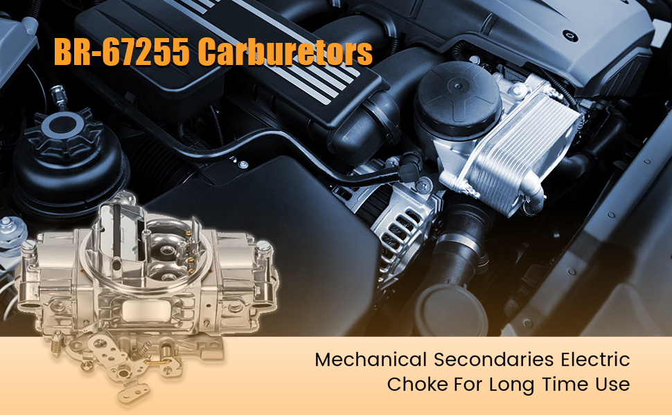 BR-67255 Carburetor
