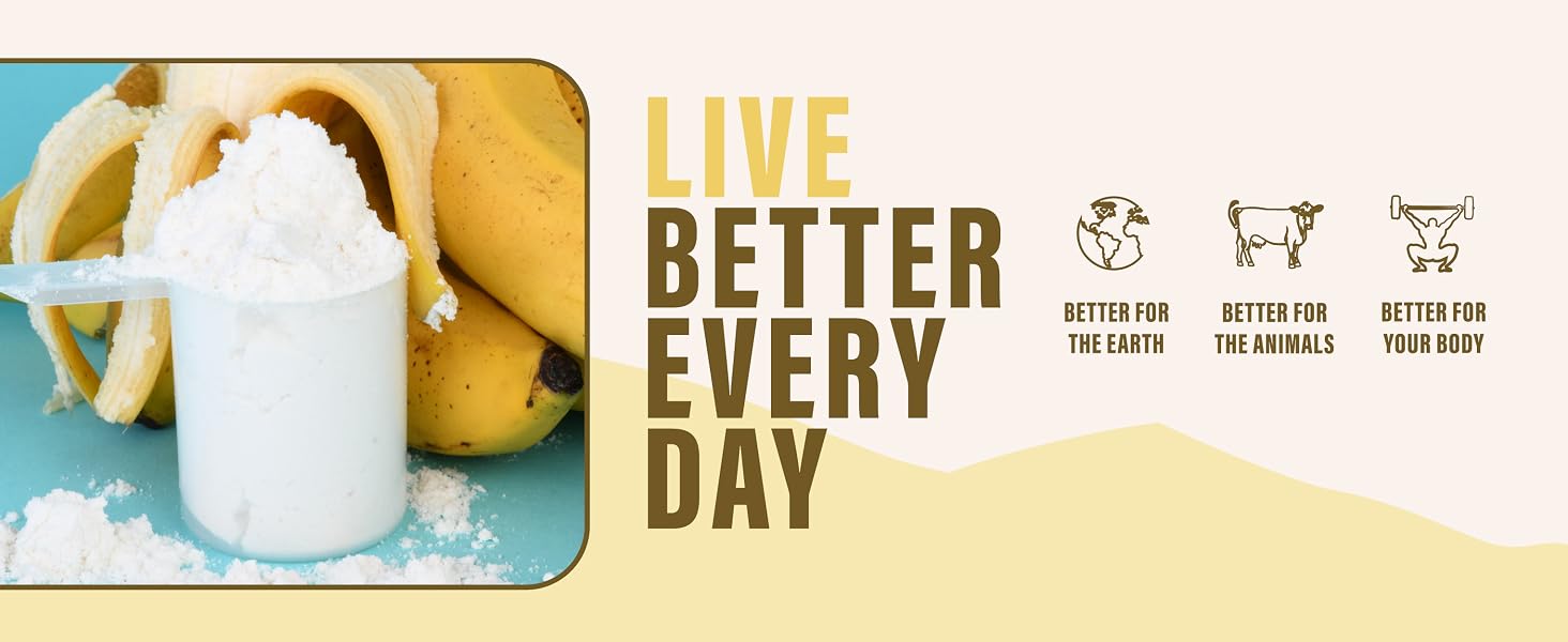 Live Better Every Day