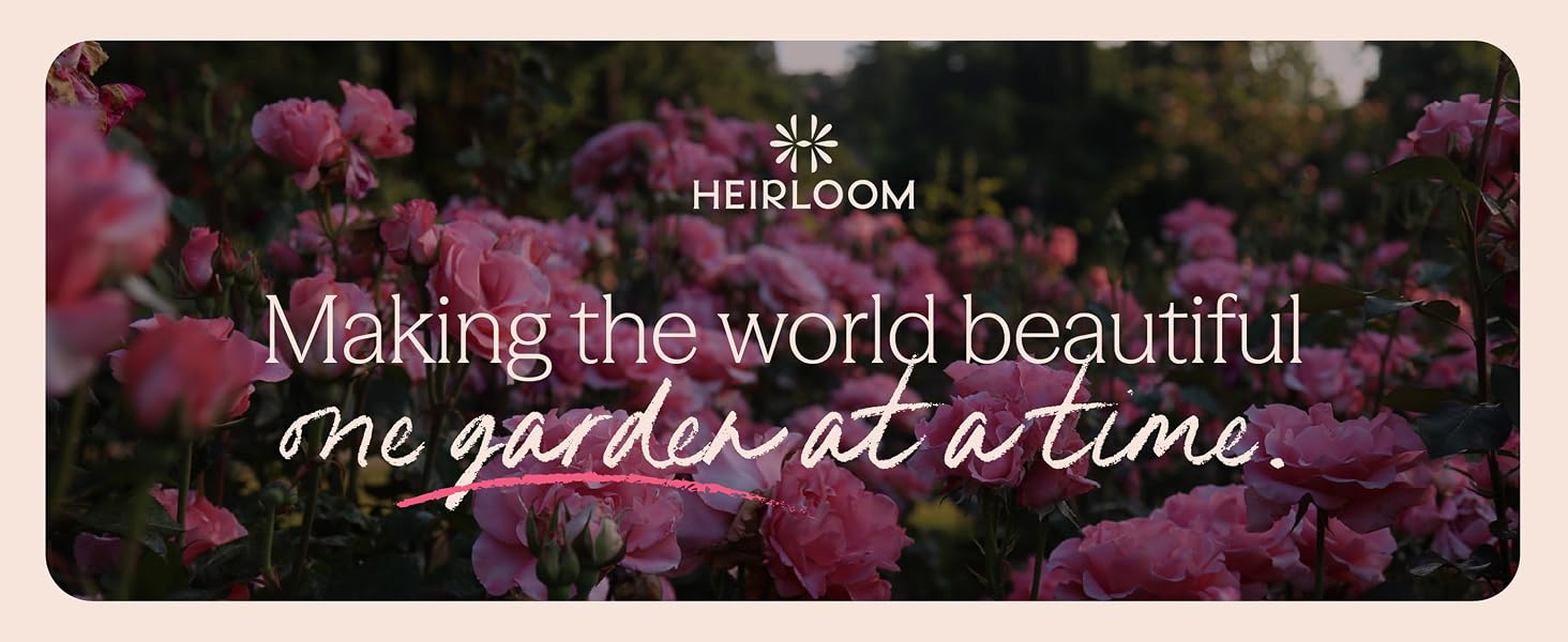Making the world beautiful one garden at a time.