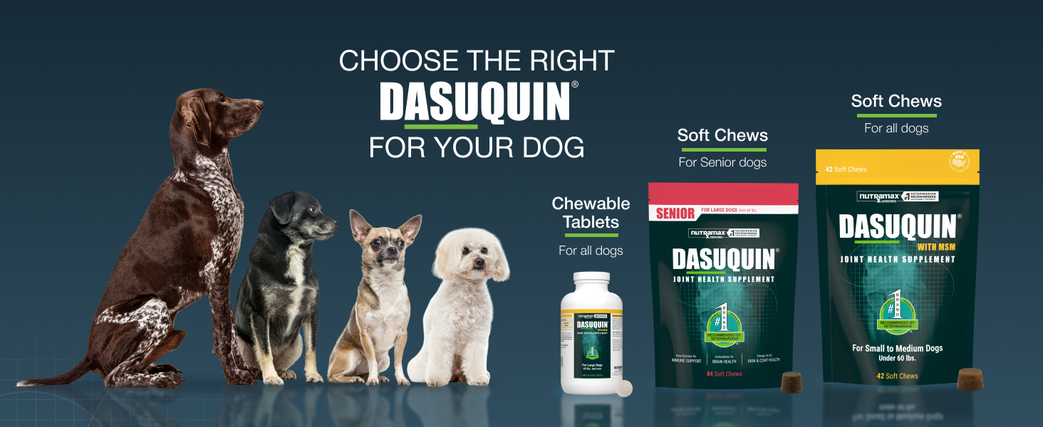 Joint Health Support for Dogs