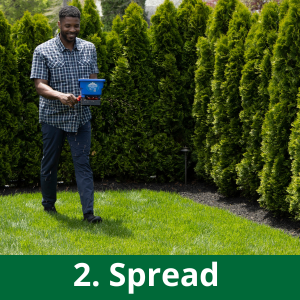 jonathan green black beauty ultra grass seed lawn care yard