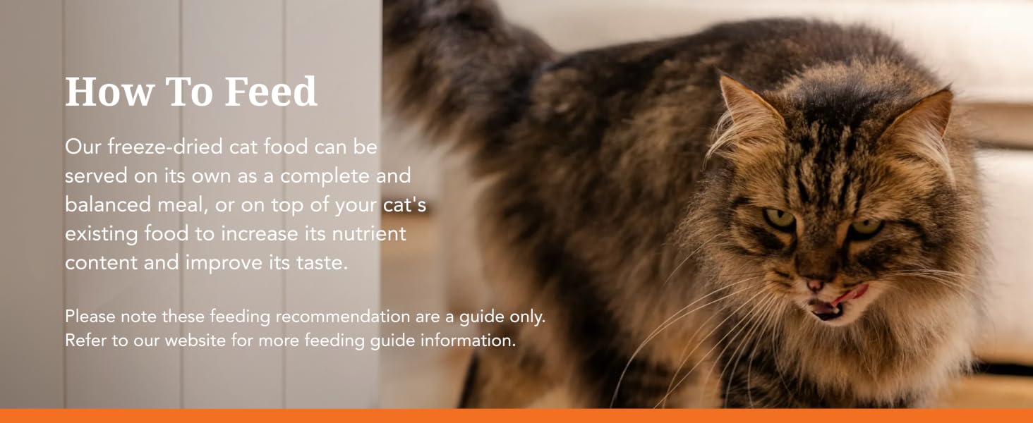 Feline Natural High Protein Dry Cat Food, Freeze-Dried, Beef