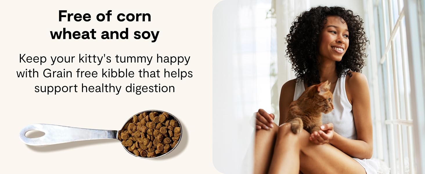 Grain Free Dry Cat Food Free of COrn Wheat and Soy