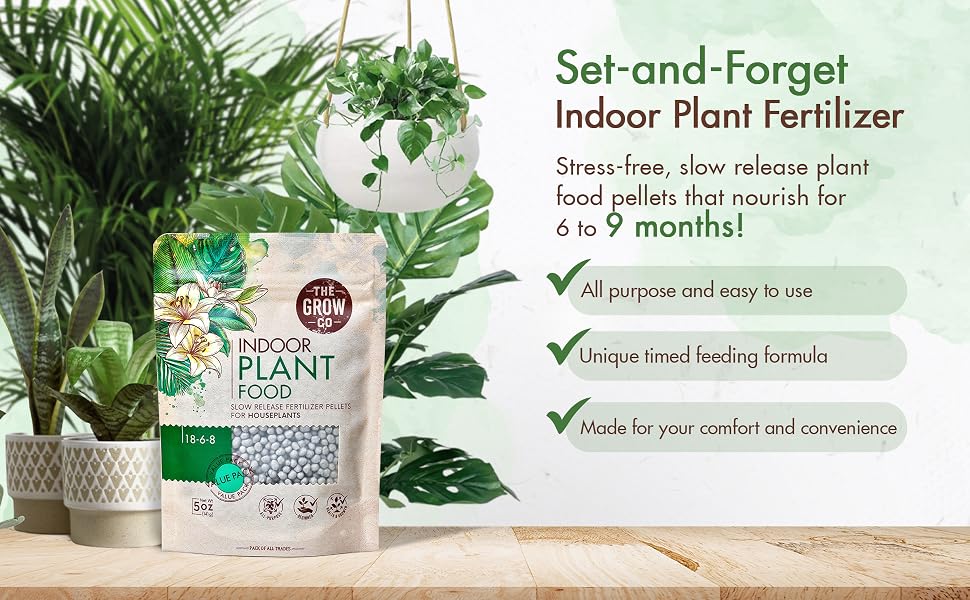 Indoor plant