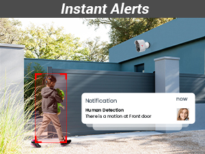 Real-time alerts