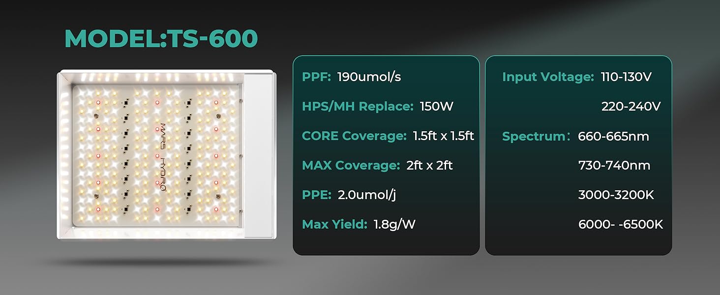 SPECIFICATION