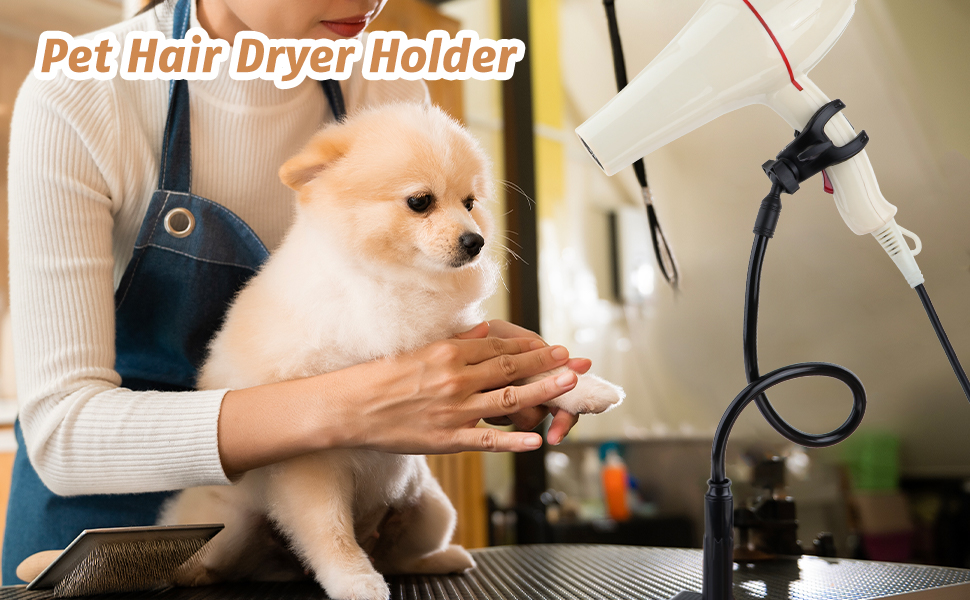 Dog Hair Dryer Stand