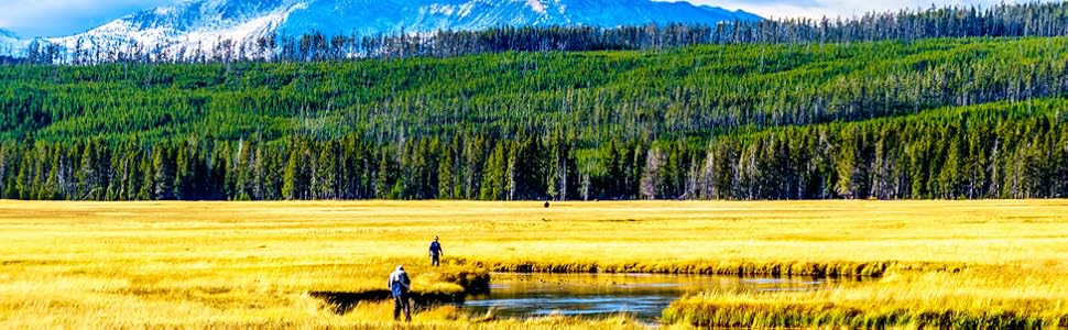 Madison River Fly Fishing