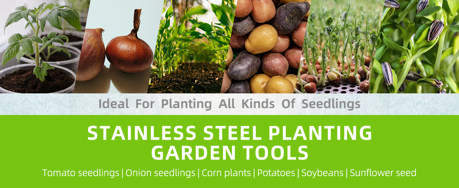 Long handled bulb planter planting tulip bulbs, onion sets, peanuts and small flower seeds in soil