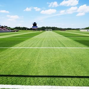 sports field; turf