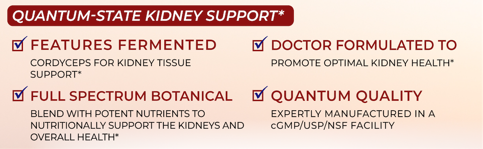 Quantum Kidney Support