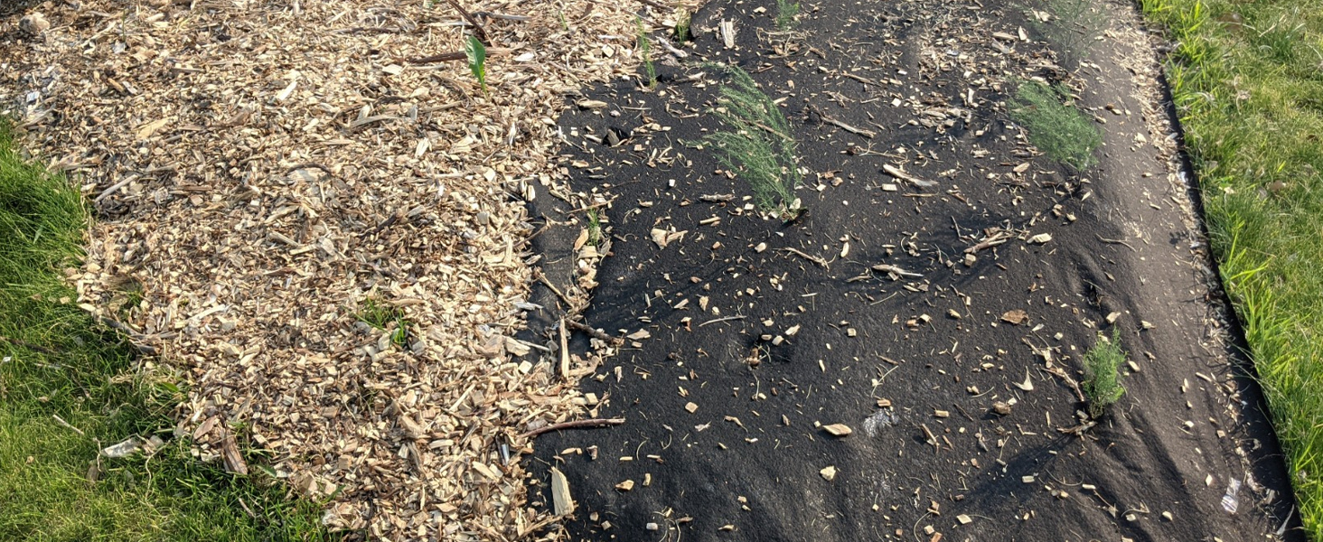 landscape fabric with mulch